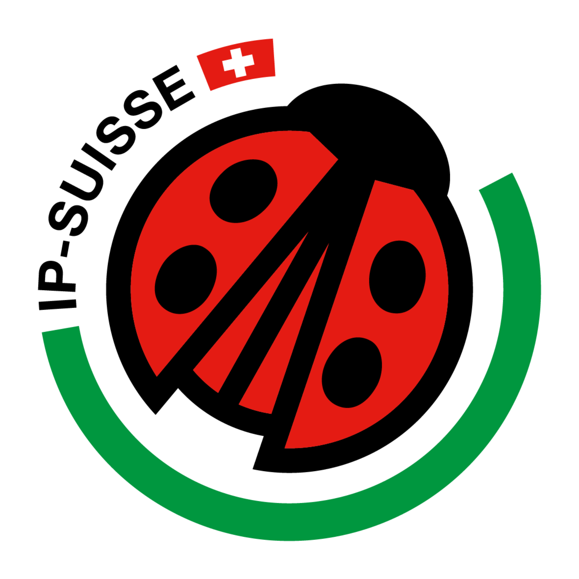 IP-SUISSE Logo